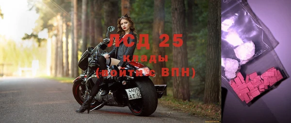 стаф Сатка