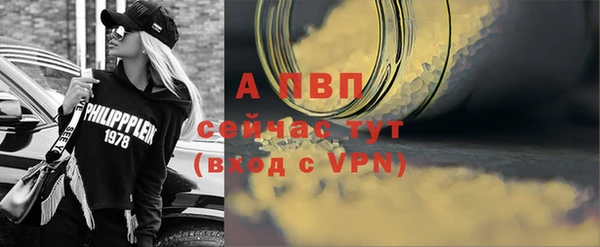 стаф Сатка