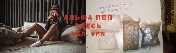 стаф Сатка