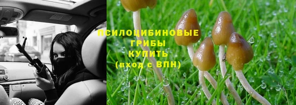 стаф Сатка