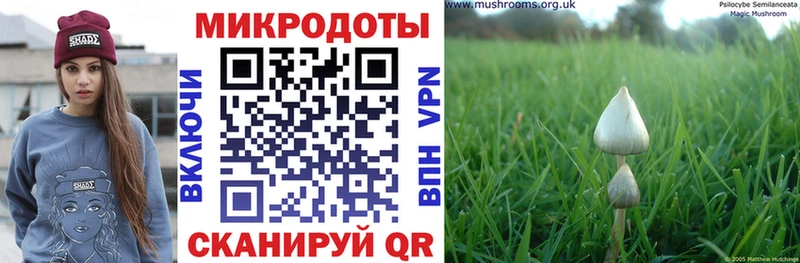 Псилоцибиновые грибы мицелий Стрежевой